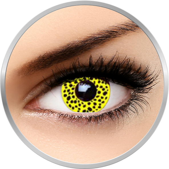 Auva Vision Fantaisie Yellow Cheetah 365 de purtari 2 lentile/cutie