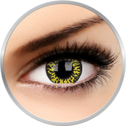 Fancy Yellow Eclipse - lentile de contact colorate Crazy galbene/negre anuale - 360 purtari (2 lentile/cutie)