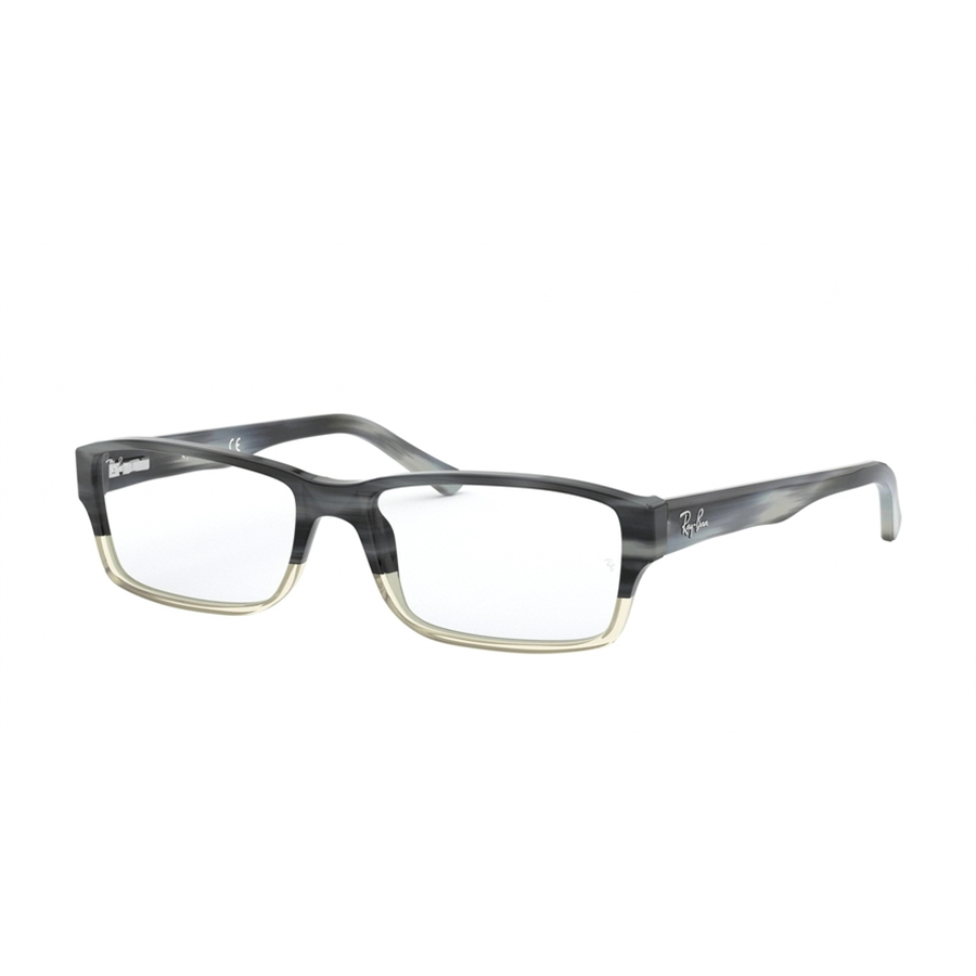 Rame ochelari de vedere unisex Ray-Ban RX5169 5540